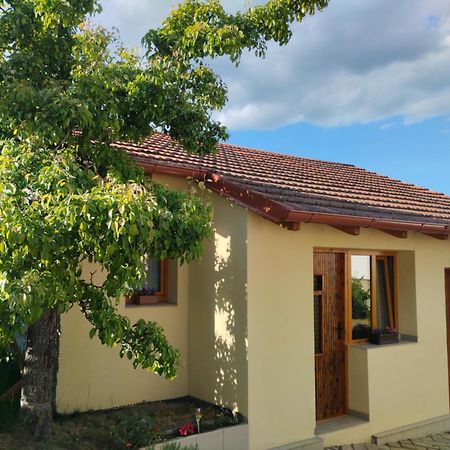 Malé útulné studio s koupelnou a kuchyňkou Svinarov Exteriér fotografie