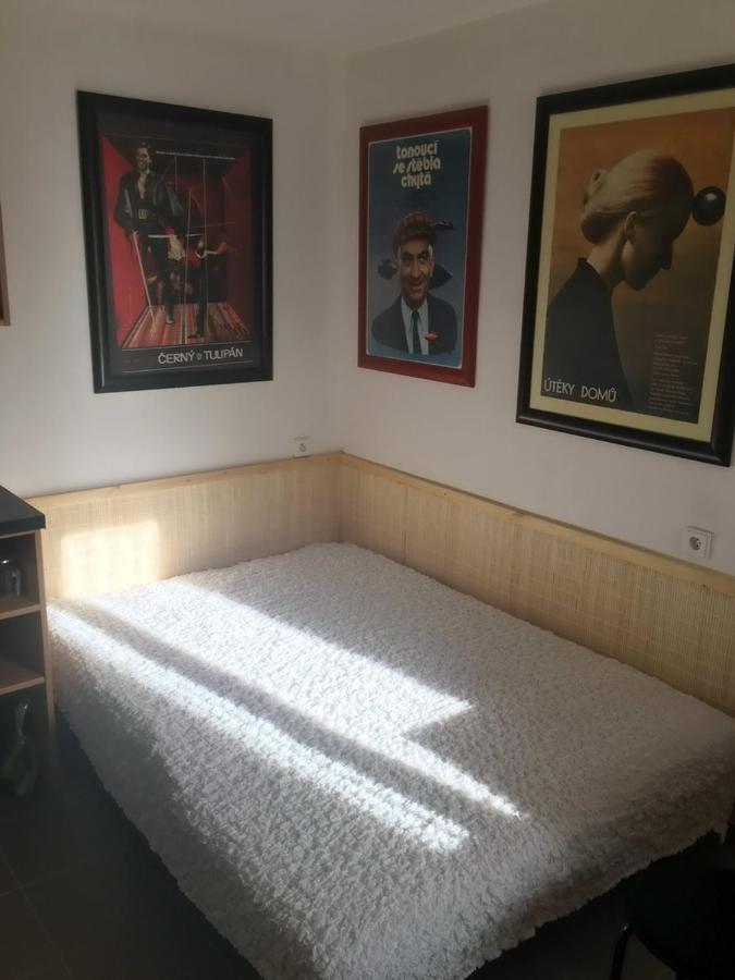 Malé útulné studio s koupelnou a kuchyňkou Svinarov Exteriér fotografie